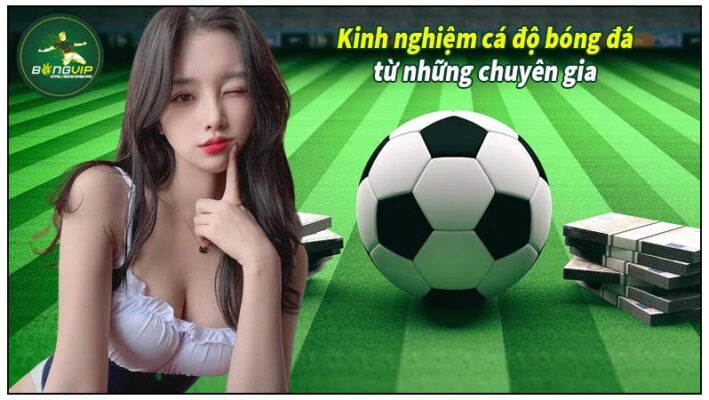 Kinh nghiệm cá độ bóng đá Online từ chuyên gia